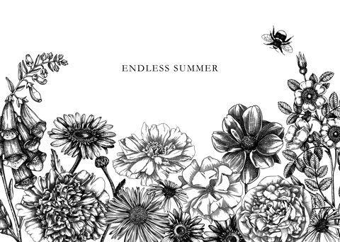 Hand-sketched flower illustrations collection. Vintage summer florals drawing set. Detailed and elegant garden plant on chalkboard. Botanical elements in engraved style.